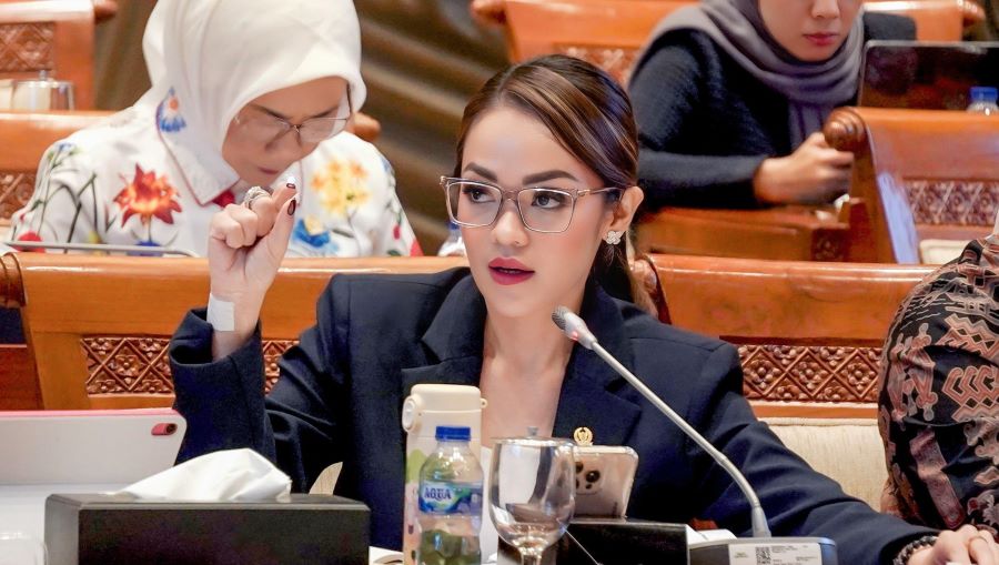 Fraksi NasDem Dorong Akun Tunggal: Jaga Demokrasi, Lindungi Usaha
